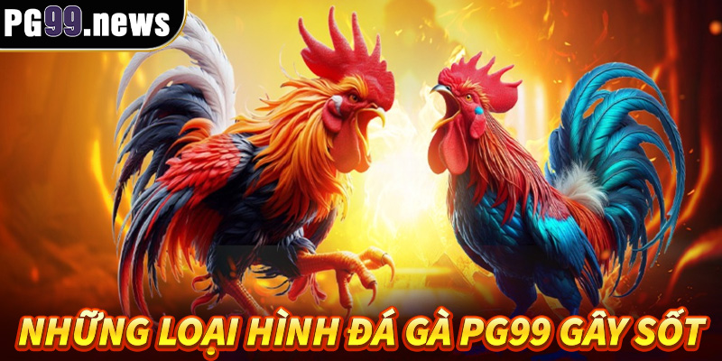 Những loại hình đá gà PG99 gây sốt